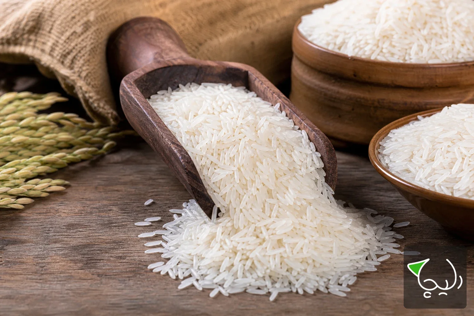 برنج اصل شمال در کف دست