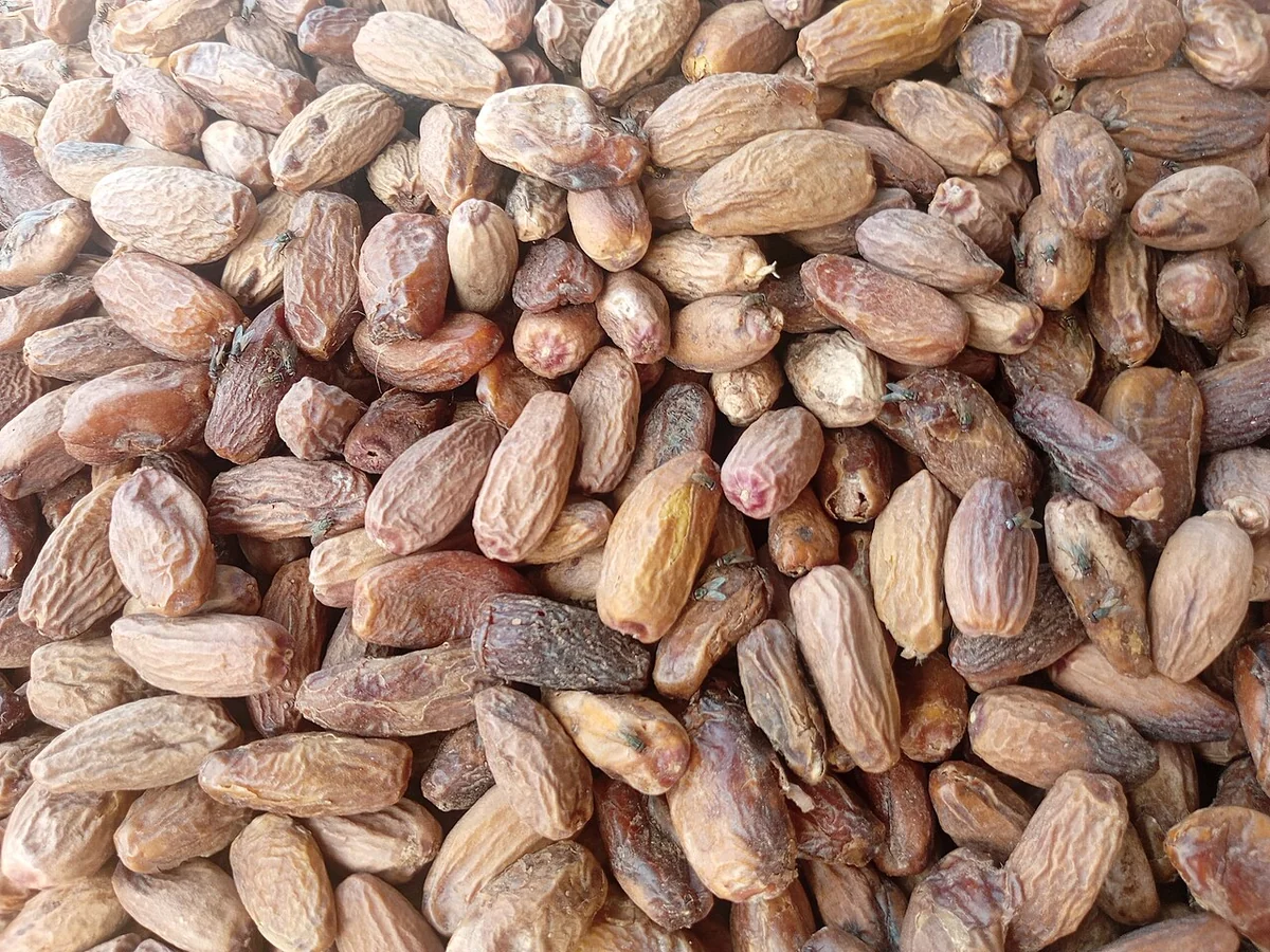 انرژی خرما طبیعی — مجله دلیچه