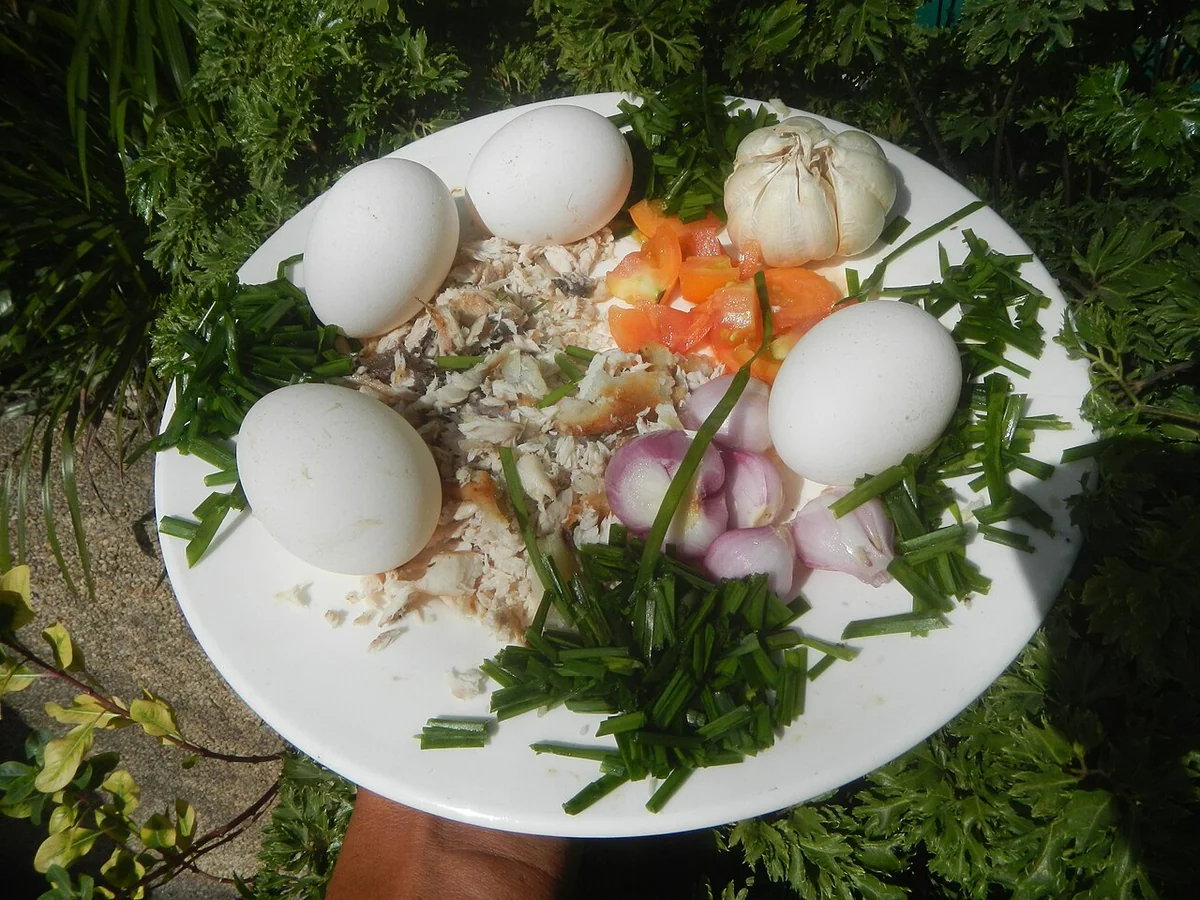 دستور شله‌زرد با پسته — گام‌به‌گام با مواد دلیچه — مجله دلیچه