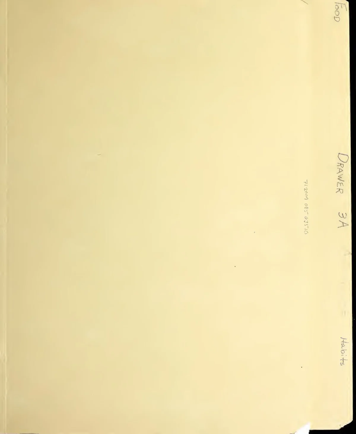دستور نان ذرت — نسخه پرادویه — دستور پخت دلیچه